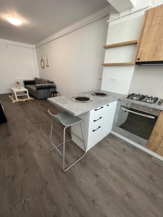 Sunny Apartments Suceava 64 Exterior photo